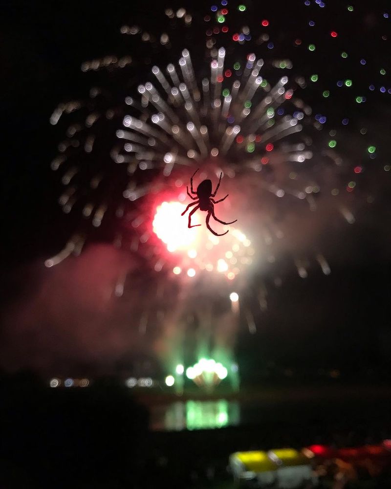 四万十川の花火