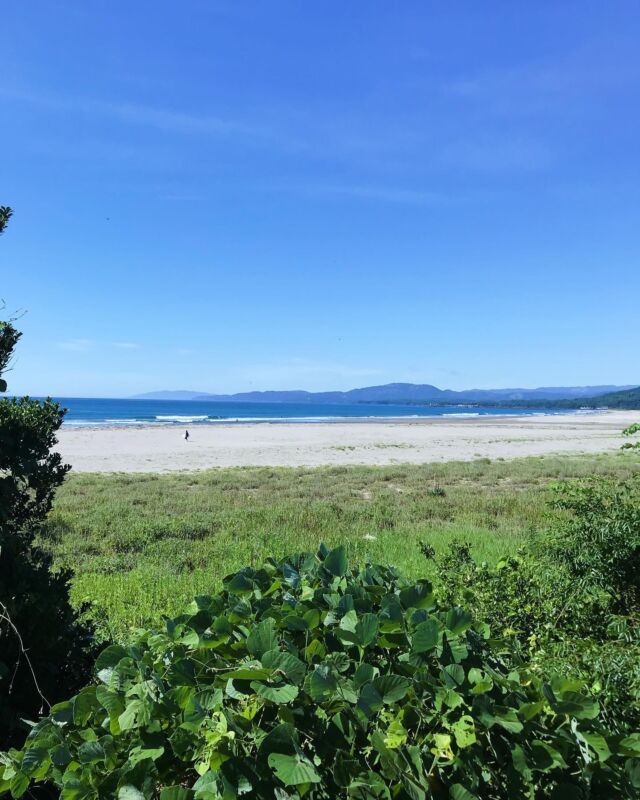 Summer is here!! Beat the heat with some ocean therapy….looking at a great forecast this weekend!!
#surfschooljapan
#hatasurfdojo
#summerinjapan
#kuroshiotown